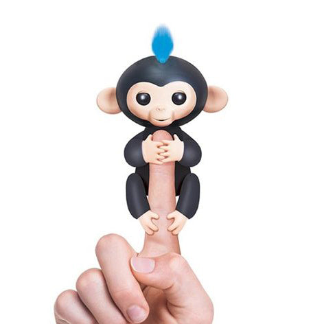 Authentic Finger Monkey