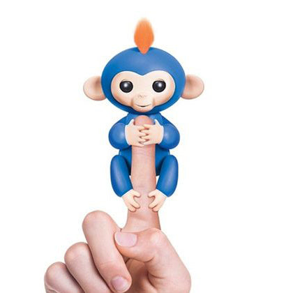 Authentic Finger Monkey
